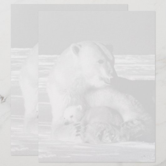 Vintager USA Alaska Mutterpolare (Vorne/Hinten)