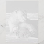 Vintager USA Alaska Mutterpolare (Rückseite)