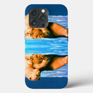 Vintager USA Alaska Mutterpolare Case-Mate iPhone Hülle