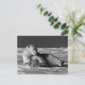 Vintager USA Alaska Mutterpolare Postkarte (Stehend Vorderseite)