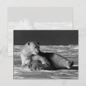 Vintager USA Alaska Mutterpolare Postkarte (Vorne/Hinten)