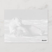 Vintager USA Alaska Mutterpolare Postkarte (Rückseite)
