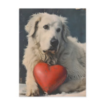 Vintager Valentinstag in den Pyrenäen