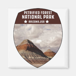 Vintager versteinerter Waldnationalpark Arizona Magnet