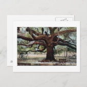 Vintager Vertrag Oak Jacksonville Florida Postcard Postkarte (Vorne/Hinten)