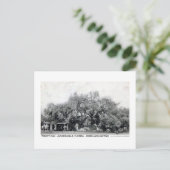 Vintager Vertrag Oak Jacksonville Florida Postkarte (Stehend Vorderseite)