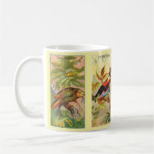 Vintager Vier tropische Vogelbilderparrot Kaffeetasse (Links)