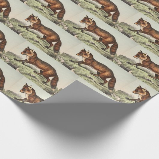 Vintager Viktorianischer Fox Geschenkpapier (Ecke)