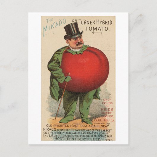 Vintager Viktorianischer Mann mit Tomatenkörper Postkarte (Vorderseite)
