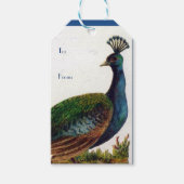 Vintager Viktorianischer Pfau Geschenkanhänger (Vorderseite)