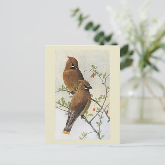 Vintager Vogel 01 Waxwing Postkarte (Stehend Vorderseite)