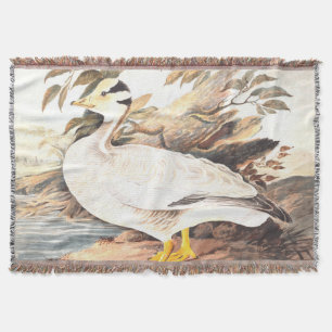 Vintager Vogel Elizabeth Gwillim Bar-Gans Decke