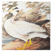 Vintager Vogel Elizabeth Gwillim Bar-Gans Fliese (Vorderseite)