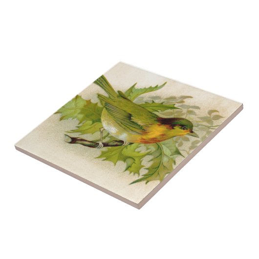 Vintager Vogel Fliese (Seite)