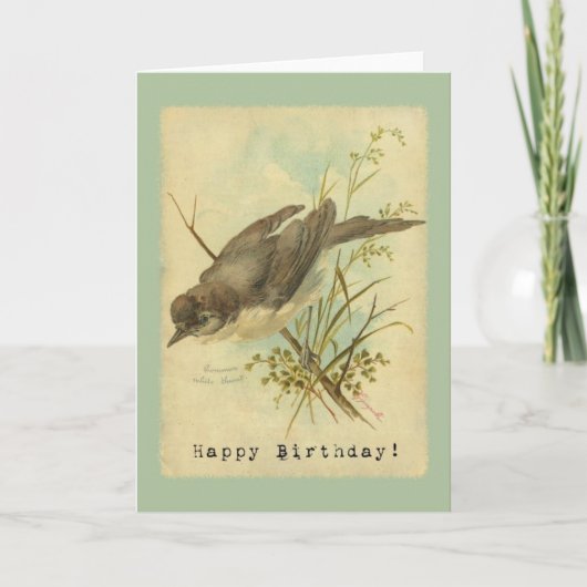 Vintager Vogel, Geburtstag Karte (Vorderseite)