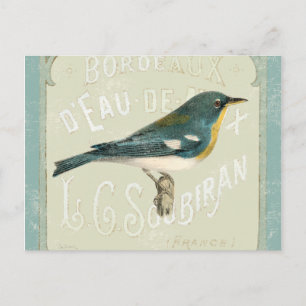 Vintager Vogel gegenüber der Rechten Postkarte