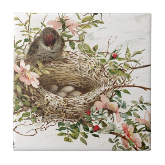 Vintager Vogel in der Nest-Tierwerbung Fliese (Vorderseite)