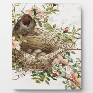 Vintager Vogel in der Nest-Tierwerbung Fotoplatte