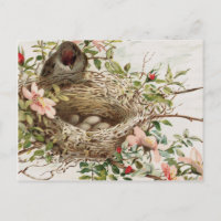 Vintager Vogel in der Nest-Tierwerbung