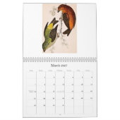 Vintager Vogel-Kalender - 2013 Kalender (Mär 2027)