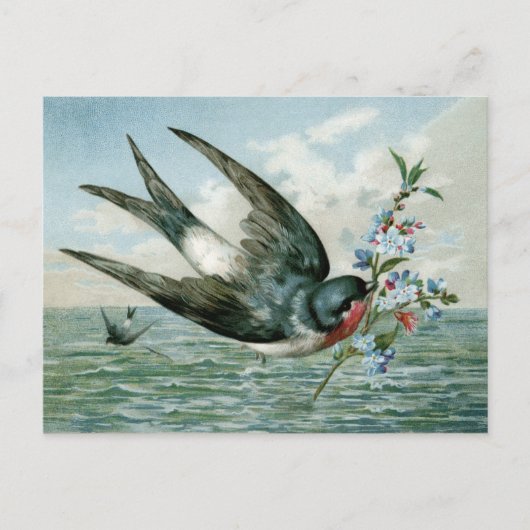 Vintager Vogel mit blühender Zweigstelle Postkarte (Vorderseite)