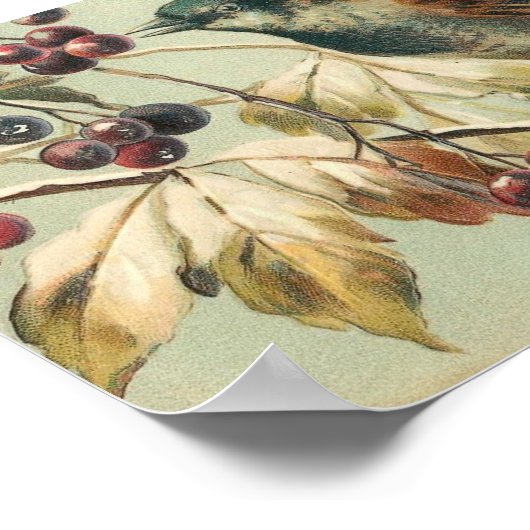 Vintager Vogel und Berries Poster (Ecke)