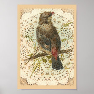 Vintager Vogel und Doilie Poster