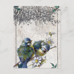 Vintager Vogelknacker Postkarte