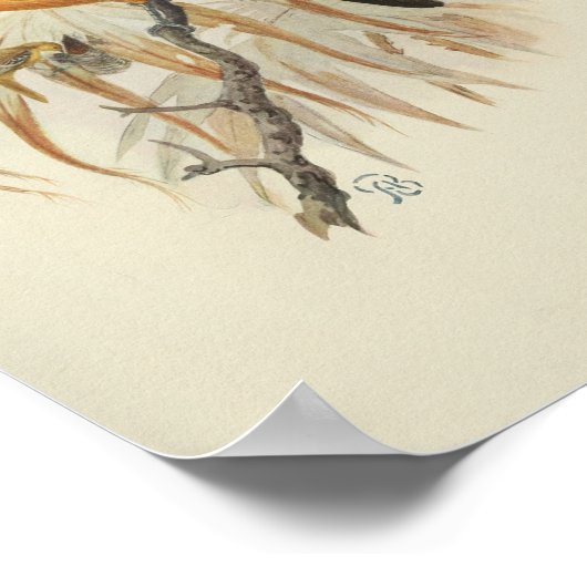 Vintager Vogelschwarz Poster (Ecke)