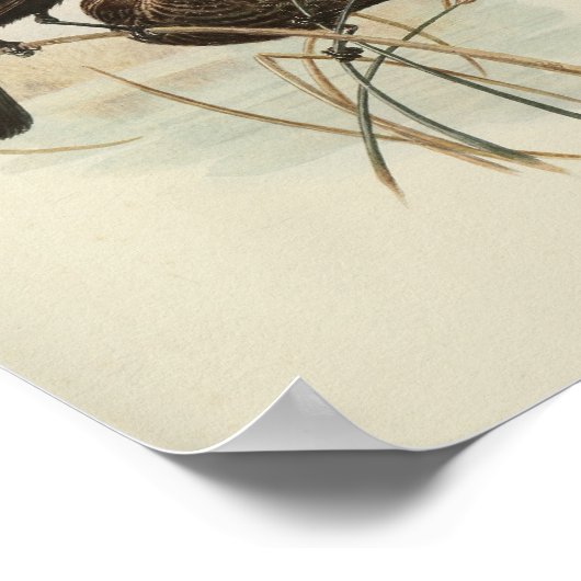 Vintager Vogelschwarz Poster (Ecke)