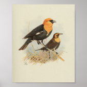 Vintager Vogelschwarz Poster (Vorne)