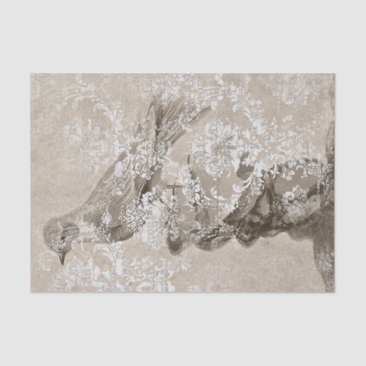 Vintager Vogelstoß Seidenpapier (Vorderseite)