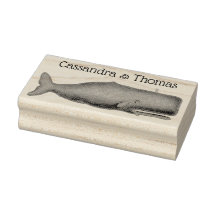 Vintager Wal aus dem 19. Jahrhundert, der N Zeichn