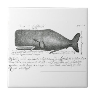 Vintager Wal-Entwurf Fliese