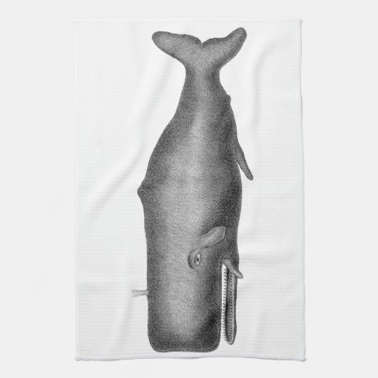 Vintager Wal Handtuch (Vertikal)