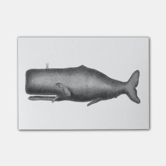 Vintager Wal Post-it Klebezettel