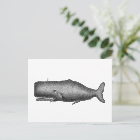 Vintager Wal Postkarte (Stehend Vorderseite)