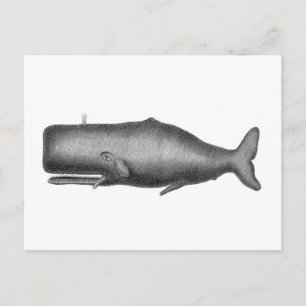 Vintager Wal Postkarte