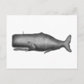 Vintager Wal Postkarte (Vorderseite)