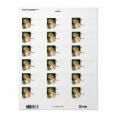 Vintager Weihnachtsstechpalme Adressaufkleber (Vorne)