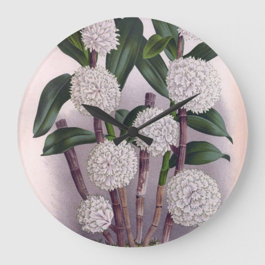 Vintager weißer Orchid Dendrobrium Purpurem Große Wanduhr (Vorderseite)