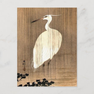 Vintager Weißheron im Regen Postkarte