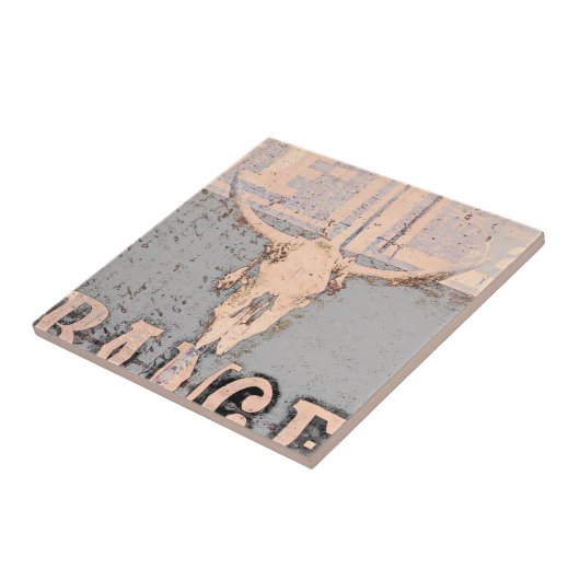 Vintager Western Bull Skull Grau Rustikal Fliese (Seite)