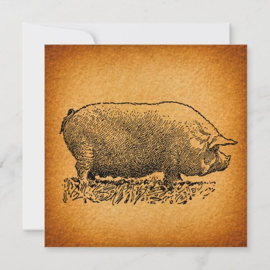 Vintager Western Stil Antique Pig Kunstwerk Einladung (Vorderseite)
