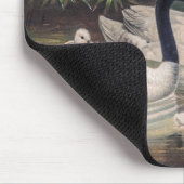 Vintager Wild Black Necked Swan Mousepad (Ecke)