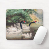 Vintager Wild Black Necked Swan Mousepad (Mit Mouse)