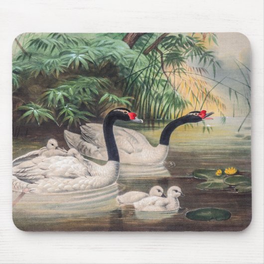 Vintager Wild Black Necked Swan Mousepad (Vorne)