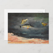 Vintager Winslow Homer Fisch und Schmetterlinge Postkarte (Vorne/Hinten)