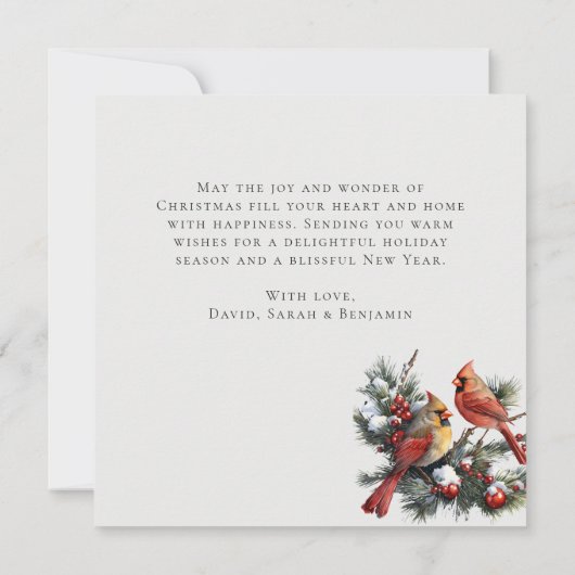 Vintager Winter Kardinal Birds Schneeweihnachtsfla Karte (Rückseite)