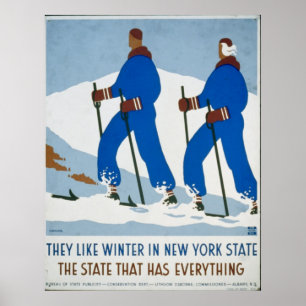 Vintager Winter-Sport in New York Poster